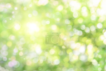 Beautiful defocused highlights in foliage