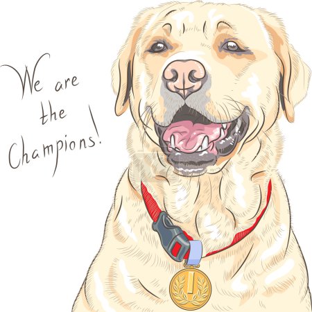 vector perro raza Labrador Retriever campeón
vector perro raza Labrador Retriever campeón