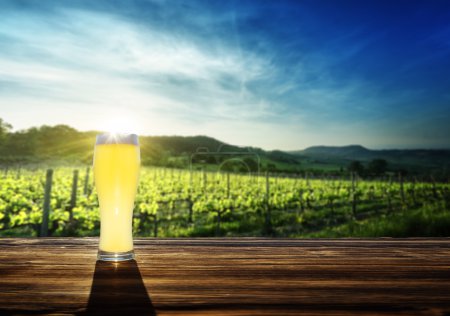 cerveza y viñedo al atardecer
