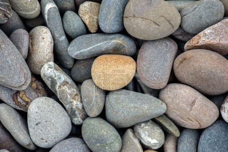 Photo for Collection of beach stones background - Royalty Free Image