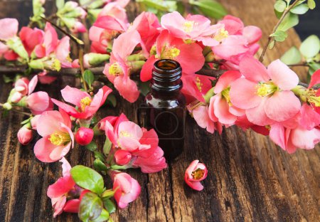 Foto de Botella de aceite esencial de flores rosadas, flor de primavera sobre fondo de madera - Imagen libre de derechos