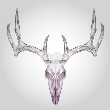 Illustration for Wireframe hipster design deer skull, head - Royalty Free Image