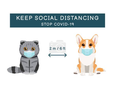 Illustration for Coronavirus infection spreading prevention information sign with pets wearing medical masks. Scottish fold cat and pembroke welsh corgi. Inscription Keep social distancing. Stop covid-19 on white background on white background - Royalty Free Image