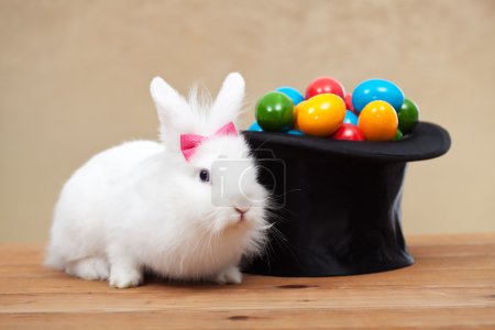 lindo conejito con huevos de Pascua