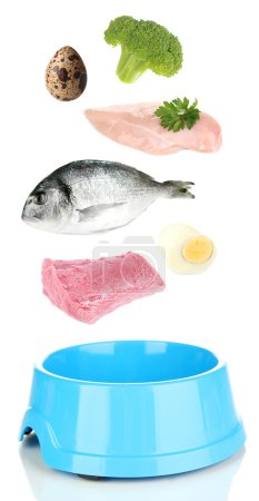 Concepto de comida para mascotas. Alimentos que caen en el tazón de la mascota aislados en blanco

