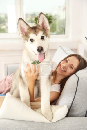 Téléchargez les photos : Jeune femme couchée avec chien malamute sur canapé dans la chambre - en image libre de droit