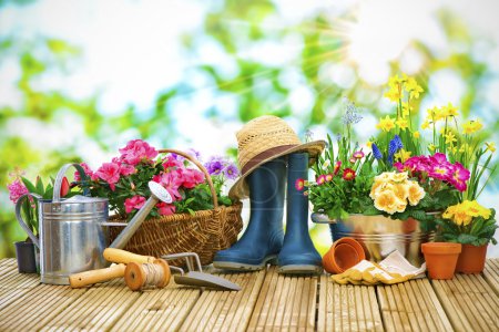 Herramientas de jardinería y flores en la terraza
