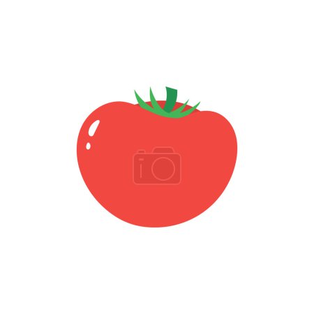 Icono aislado de tomate sobre un fondo blanco. Ilustración plana del vector.