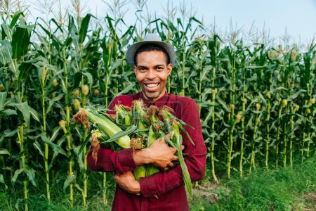 hombre feliz agricultor afroamericano con sombrero mirando cámara y recogiendo maíz en el campo