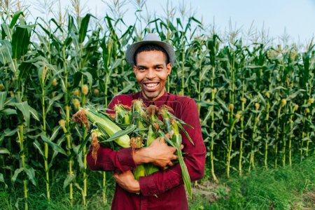 Foto de Hombre feliz agricultor afroamericano con sombrero mirando a la cámara y recogiendo maíz en el campo. granjero joven con sombrero y mantén mazorca de maíz en brazos. - Imagen libre de derechos