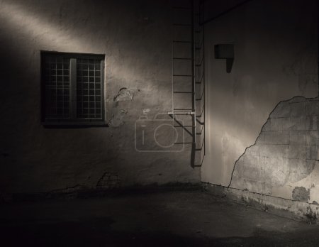 espeluznante patio trasero oscuro
