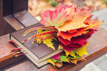 Photo for A book with colored leaves embedded in it lies on a bench in the park in autumn - Royalty Free Image