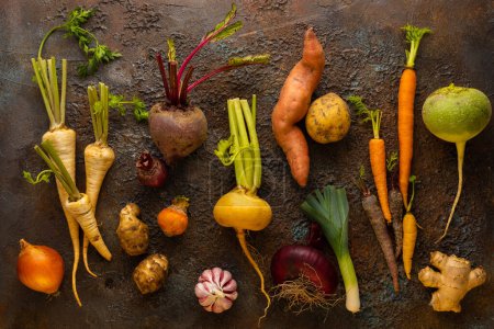 Photo for Fresh root vegetables on textured background. Autumn harvest. Concept healthy food. - Royalty Free Image