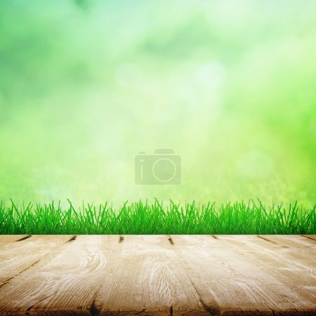 Concepto de crecimiento en verano
