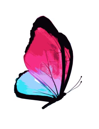 Mariposa tropical colorida
