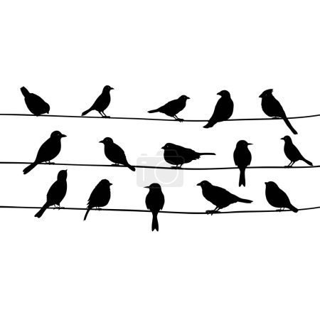 Illustration for Cute black birds on a wire - Royalty Free Image