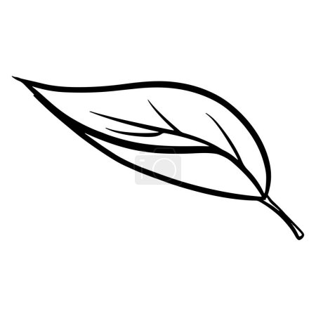 Dépliant. Feuilles de couleur ou d'arbre. Flore. Cartoon style. Illustration vectorielle pour design et décoration.