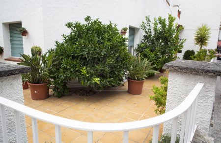 Téléchargez les photos : Fleurs vertes dans des pots sur un balcon - en image libre de droit