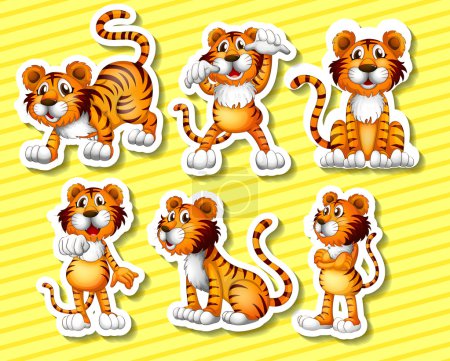 Tigres Ilustración
