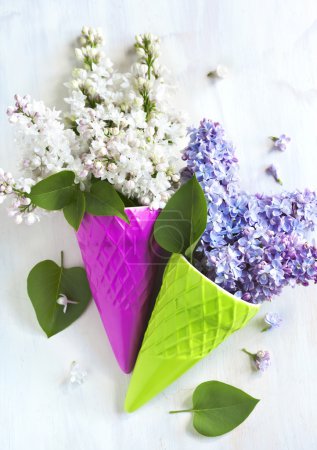 Hermosas flores lila púrpura y blanca
