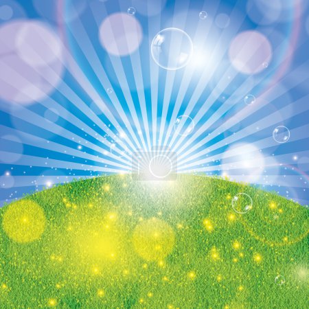Fond printanier d'été avec herbe et soleil 