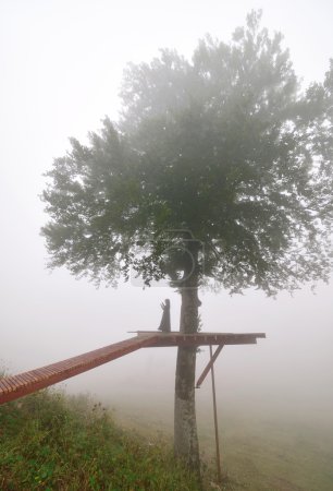 Photo for Under tree praying female silhouette appears in fog - Royalty Free Image