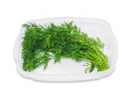 Plastic tray with dill