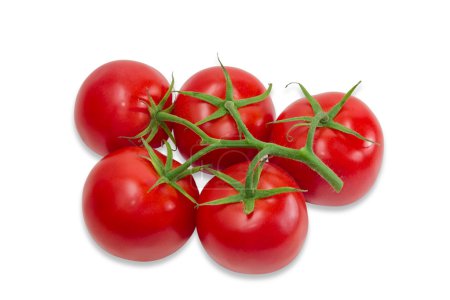 Rama de tomates