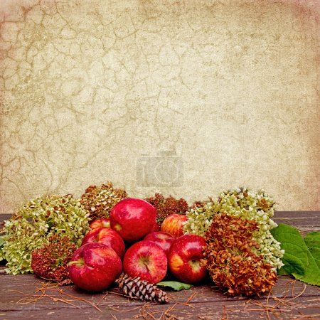 Téléchargez les photos : Groupe de pommes sur la table d'extérieur avec des aiguilles de pin et hortensias de séchage qui l'entourent dans ce fond d'image carré - en image libre de droit