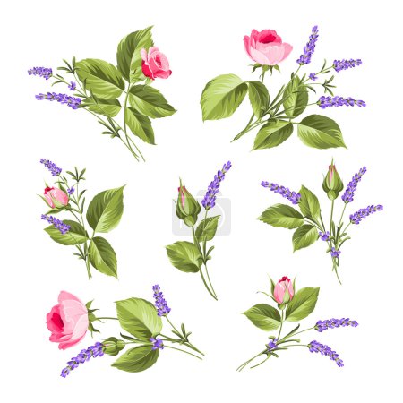 Ilustración de Set de flores vintage. Paquete de flores de boda. Colección de flores de acuarela detalladas rosas dibujadas a mano. Colección de rosas y flores de lavanda sobre fondo blanco. Paquete de ilustración vectorial - Imagen libre de derechos