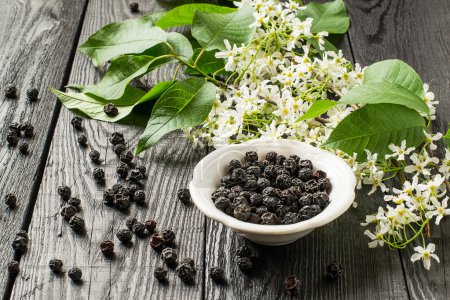 Photo for Medicinal plant - bird cherry (Prunus padus). Flowering branches and dried berries on a white wooden background. Selective focus - Royalty Free Image