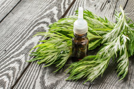 Photo for Essential oil of wormwood (Artemisia absinthium) in a small brown bottle, fresh sagebrush branches on a dark wooden table - Royalty Free Image