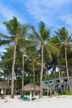 playa tropical con cielo azul y palmeras
