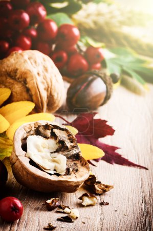 Bodegón de otoño con nueces
