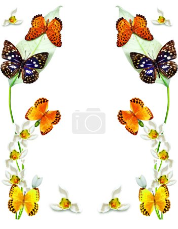 rama de flores y mariposas aisladas sobre un fondo blanco
rama de flores y mariposas aisladas sobre un fondo blanco
