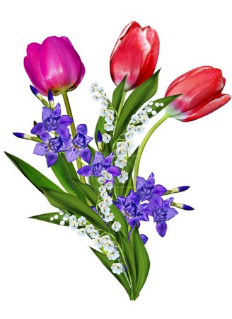 flores de primavera tulipanes aislados sobre fondo blanco