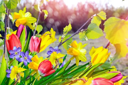  Paisaje de primavera y flores
