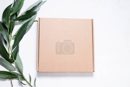 Brown cardboard box with tree brush 