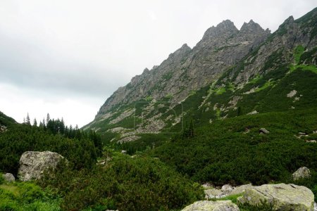           Hautes montagnes Tatra paysages, forêts, arbres, rochers et plantes, heure d "été                    