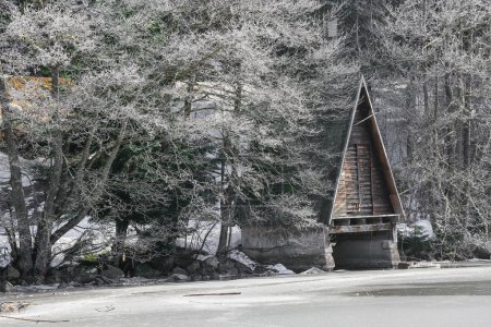 Landscape of frozen Longemer lake in the Vosges Mountain, France