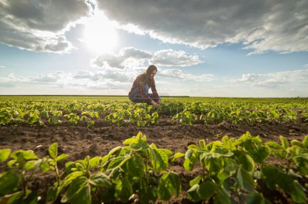 Una joven agricultora en un campo de soja en primavera 