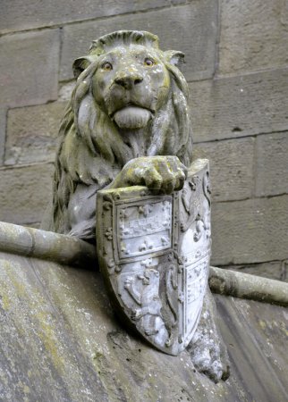 Photo for Animal wall from Cardiff and tree - Royalty Free Image