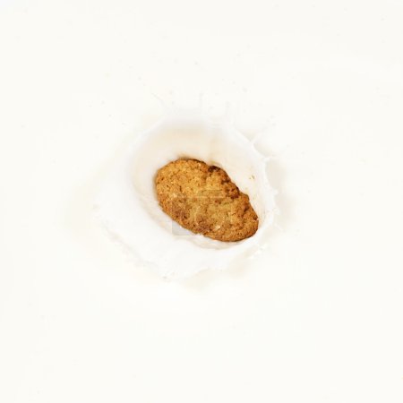 Foto de Una sola galleta cayó en la leche causando un chapoteo
. - Imagen libre de derechos