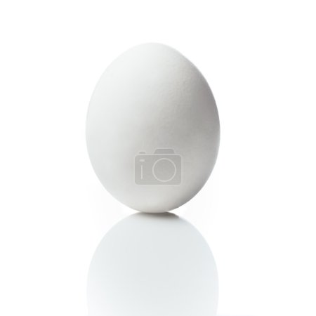 Photo for White chicken egg, on white reflection surface, isolated or cutout - Royalty Free Image