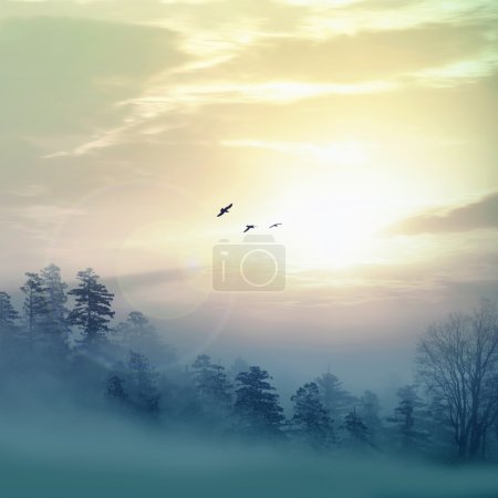 Photo for Beautiful summer landscape with birds - Royalty Free Image