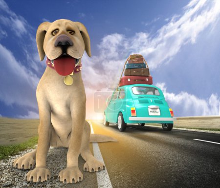 Perro abandonado en el camino

