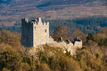 Castillo de Ross en el Anillo de Kerry
