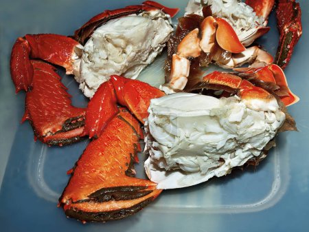Photo for Spanner Crab. Ranina ranina. freshly caught cleaned and cooked ready for the dinner table. Also known as Red Frog Crab, Kona Crab, and Curacha crab. Queensland, Australia. - Royalty Free Image