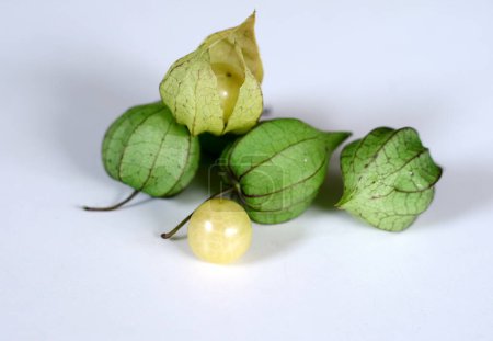 Physalis angulata fruta o baya dorada, en Indonesia llamado ciplukan, sobre fondo blanco.