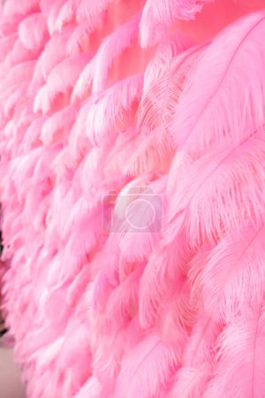 Foto de Un ramo de plumas rosas - Imagen libre de derechos